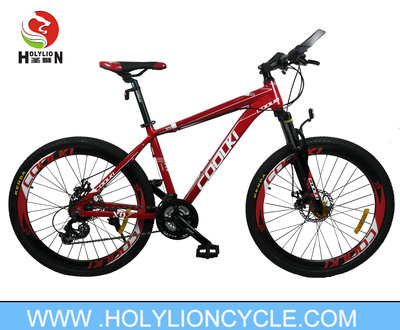 X9 MOUNTAIN BICYCLE