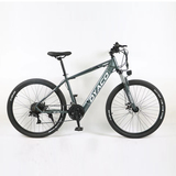 26�����-����﮵����г�