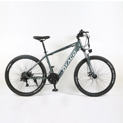 26�����-����﮵����г�