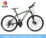 DIVISION &nbsp;MOUNTAIN BICYCLE