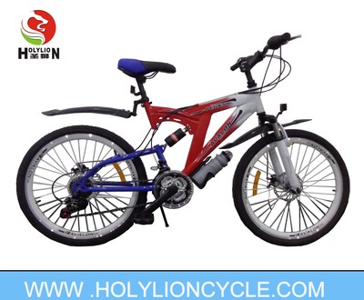 HEREROSEXUAL MOUNTAIN BICYCLE