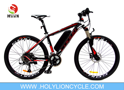 EBIKE -XC5