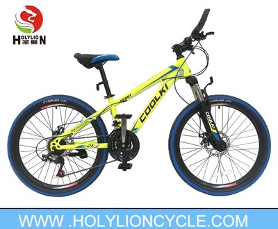 CARTER MOUNTAIN BICYCLE