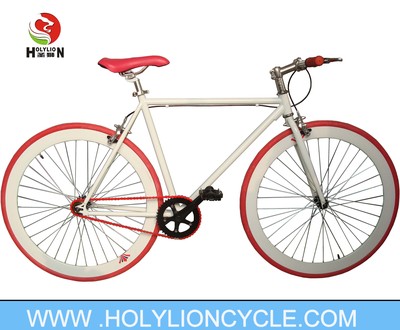  FIXED BICYCLE
