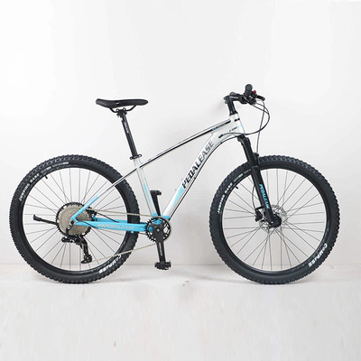 ɽ�����г�