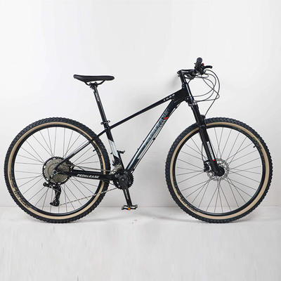 ɽ�����г�