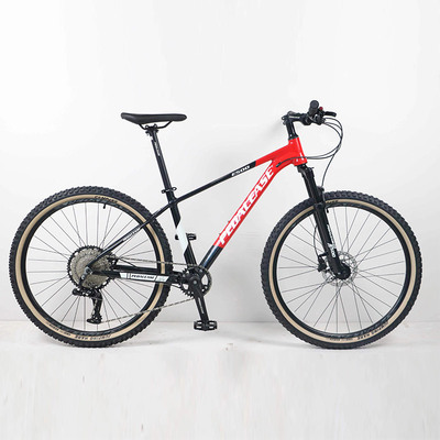 ɽ�����г�