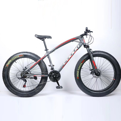 ɽ�����г�