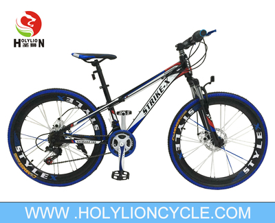 24inch mountain bike