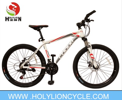 X1 MOUNTAIN BICYCLE