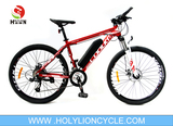 EBIKE-X3