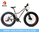 ѩ�س�SNOW-SS005