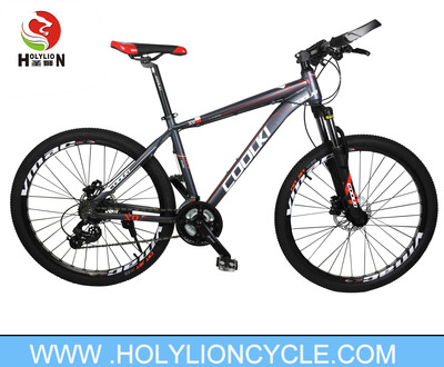 X9 MOUNTAIN BICYCLE