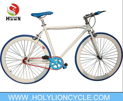  FIXED BICYCLE