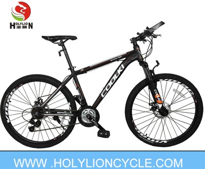 X2 MOUNTAIN BICYCLE