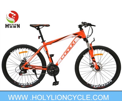 X1 MOUNTAIN BICYCLE
