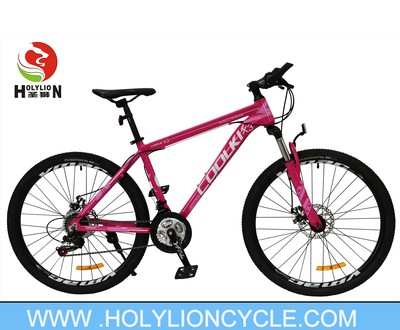X3 MOUNTAIN BICYCLE