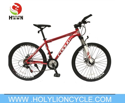X3 MOUNTAIN BICYCLE