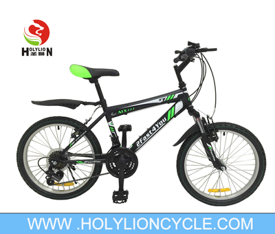 20 inch mountain bike